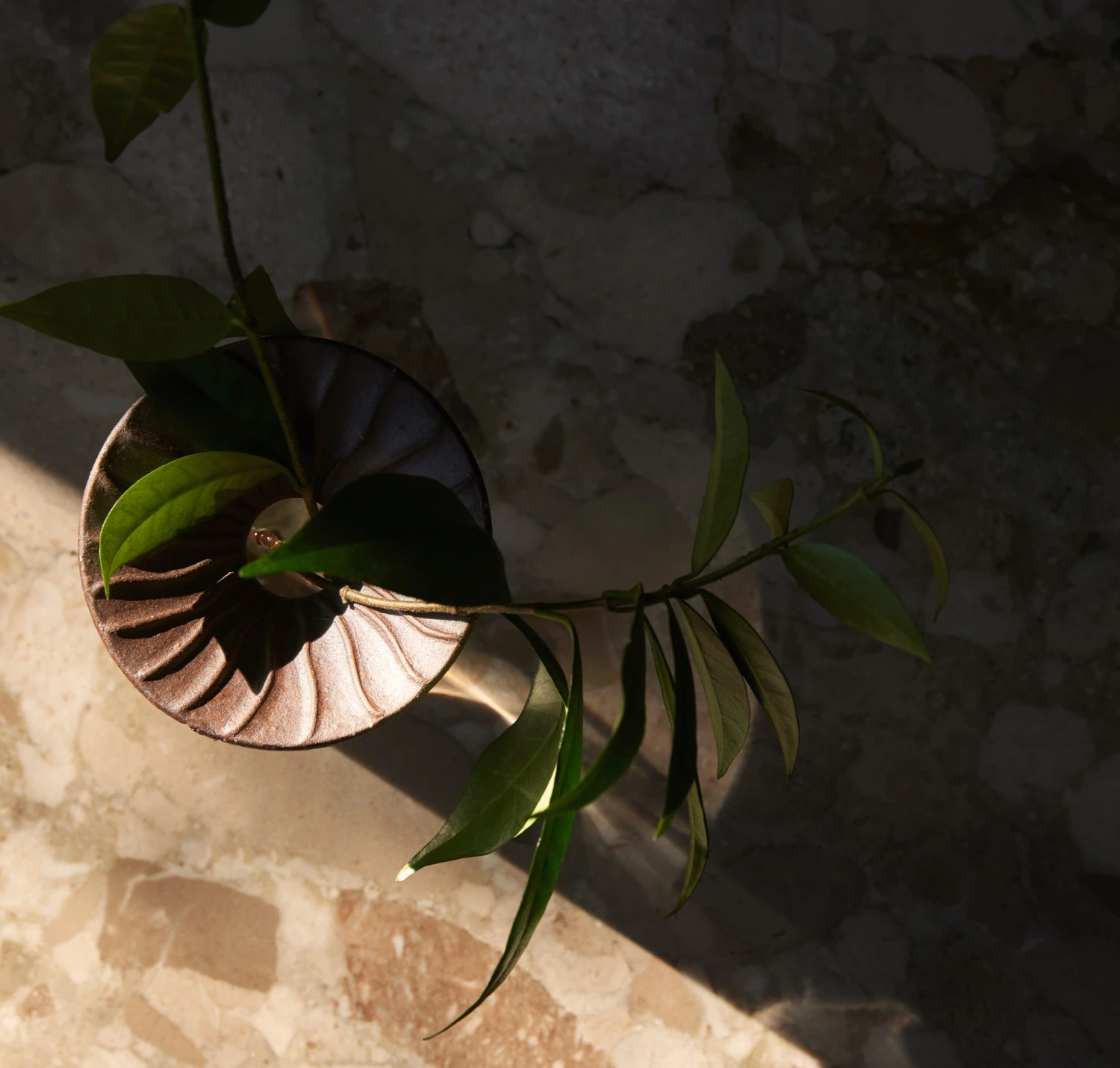 Menu Cresco Propagation Vase 2 Teile – Bild 3