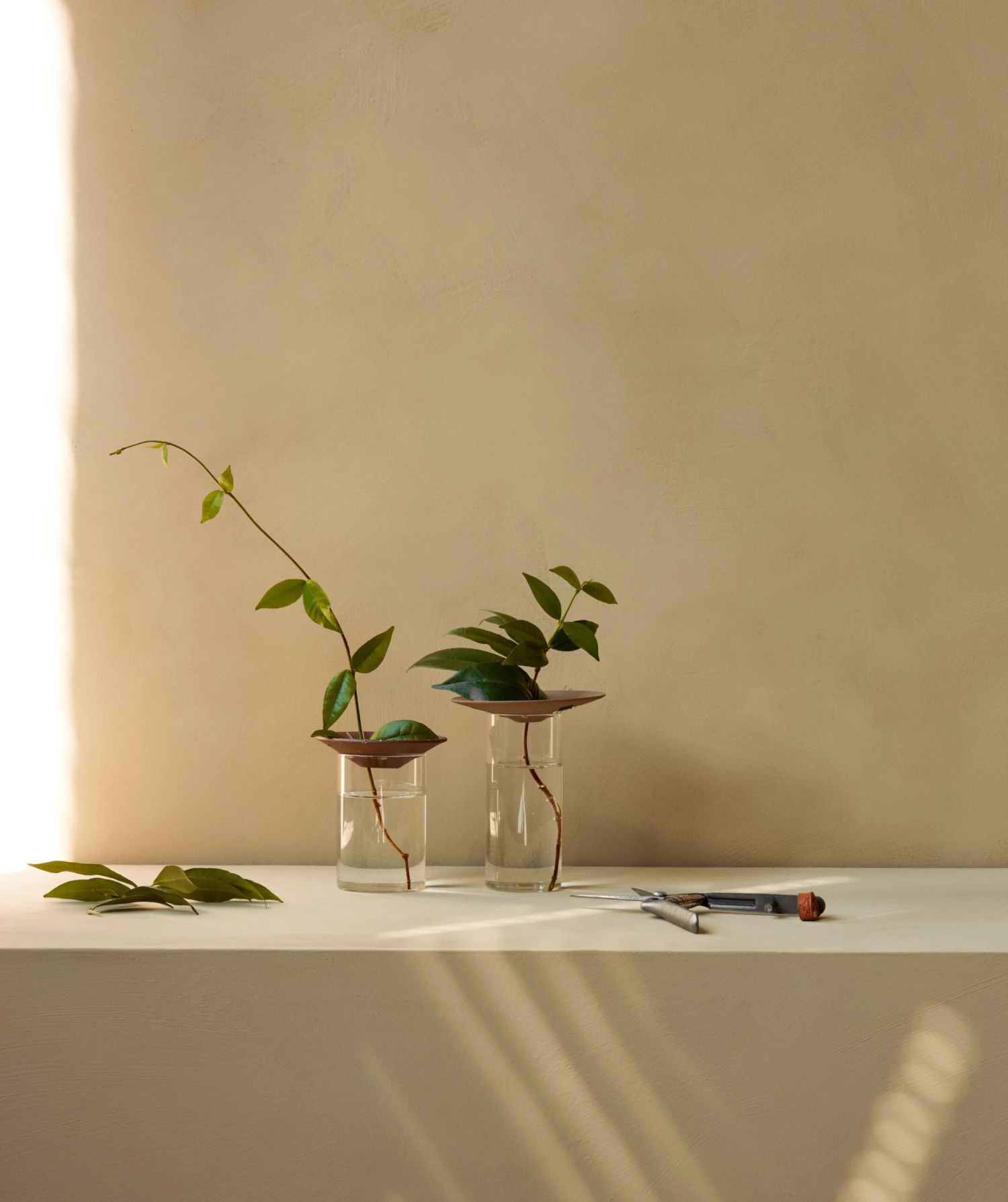 Menu Cresco Propagation Vase 2 Teile – Bild 5